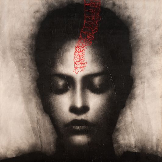 Omar Galliani, Mantra, 2001, matita su tavola più pigmento naturale, cm. 150 x 150