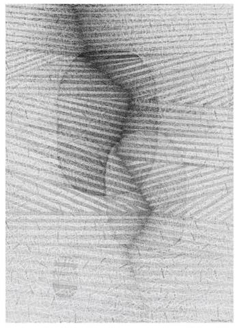 Marina Bindella, Ab origine V, 2023, disegno a china su carta intelaiata, cm 70 x 50 Marina Bindella, Ab origine V, 2023, disegno a china su carta intelaiata, cm 70 x 50