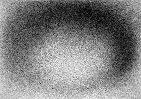 Marina Bindella, Cespuglio tenero, 2000, disegno a china, cm 70 x 100 Marina Bindella, Cespuglio tenero, 2000, disegno a china, cm 70 x 100