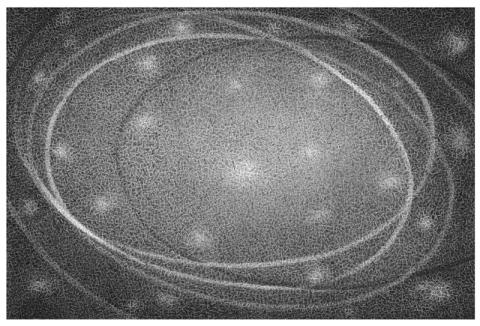 Marina Bindella, Cosmogonia, 2025 2026, disegno a china su carta intelaiata, cm 80 x 120 Marina Bindella, Cosmogonia, 2025 2026, disegno a china su carta intelaiata, cm 80 x 120