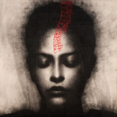 Omar Galliani, Mantra, 2001, matita su tavola più pigmento naturale, cm. 150 x 150