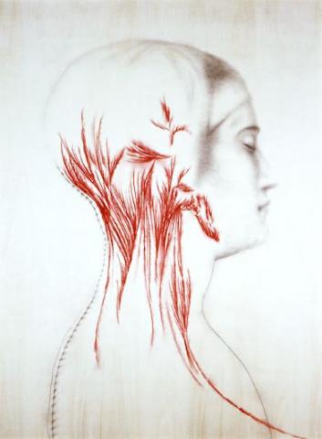 Omar Galliani, Nuove Anatomie, 2002, matita su tavola più pastello, cm. 311 x 251